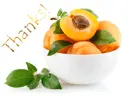 Thanks!