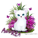 Cute Kitten - Andrea