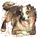 cutie dog 