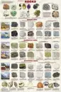 Rocks and Minerals