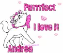 Purrfect Kitty- Andrea