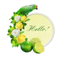 Hello!