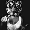 Tiger head