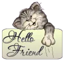 Kitten hello
