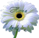 Color Changing Flower