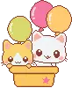 kitty