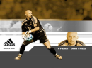 fabien barthez
