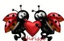 chrissi