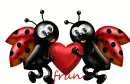 fran