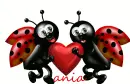ania