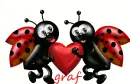 graf