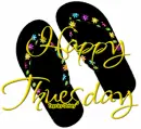 Happy Tuesday