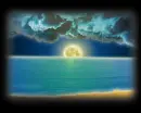The Ocean