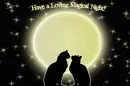 Good Night