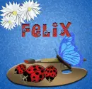 Felix