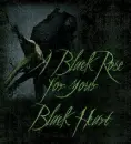 Black Rose