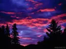Twilight