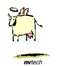 angel cow