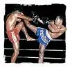 Muay Thai