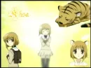 Kisa