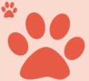 paws