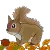 squirrel with nuts