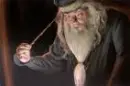 dumbledore taking a memory out of his head