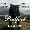 padfoot lives on