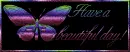 Have a beautiful day