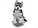 FooPets husky