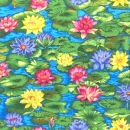 water lilly