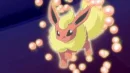 Flareon