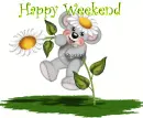 happy weekend