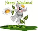 sweetlynn