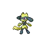 Shiny Riolu