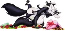 Pepe le pew