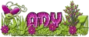 Buggy - Ady