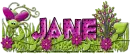 Buggy - Jane