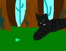 Kitten Playing