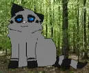 Raccoonkit