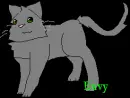 Envy