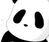 Cute panda