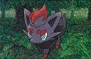 Zorua Friend