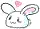 bunny.