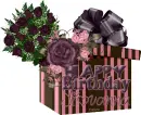 Happy Birthday Jiovanna