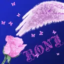 Roni angel