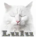 Cat-Lulu