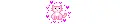 Kitty cat