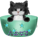 Cute kitty - Andrea