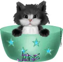 Jane